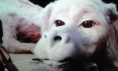 NHKのアナウンサーが好きな人!part2