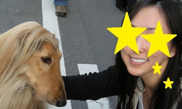 お墓について語ろう