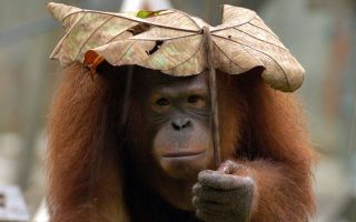 雨の日の過ごし方
