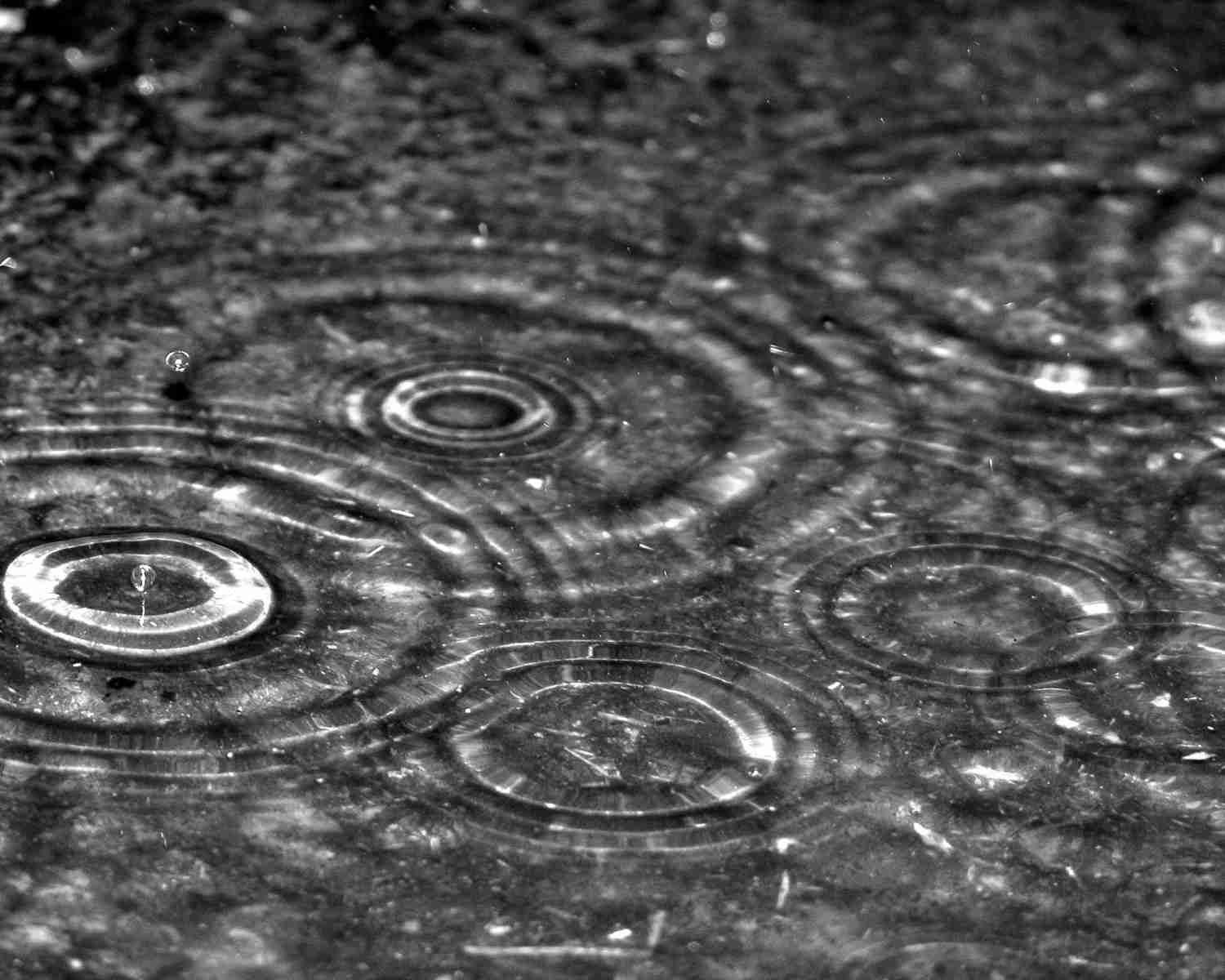 雨の日の過ごし方