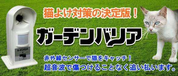 飼い猫の放し飼い、どう思いますか?