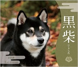 犬好きが、犬への熱い想いをつづるトピ。