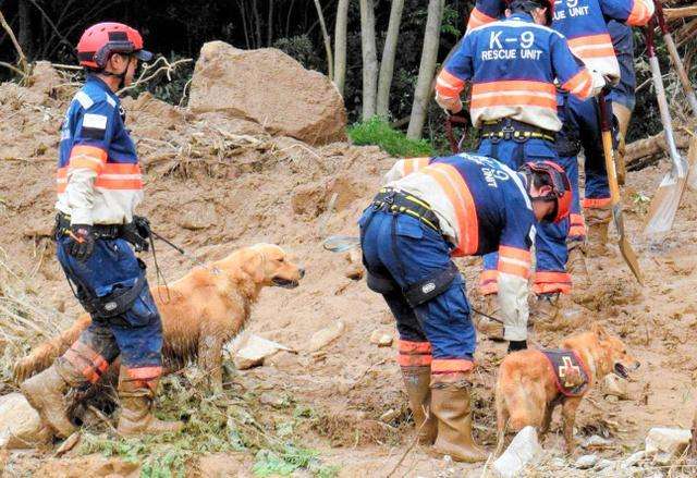 犬好きが、犬への熱い想いをつづるトピ。