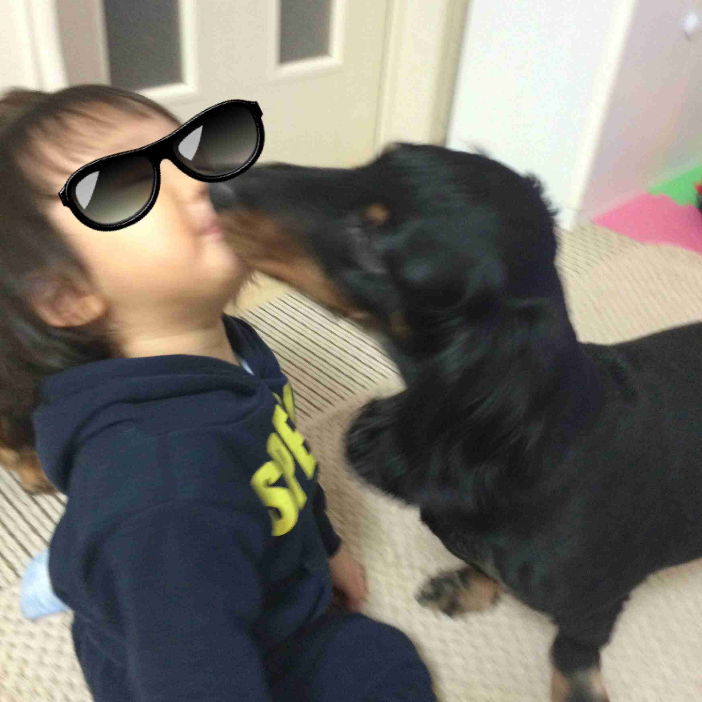 犬好きが、犬への熱い想いをつづるトピ。
