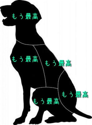 犬好きが、犬への熱い想いをつづるトピ。