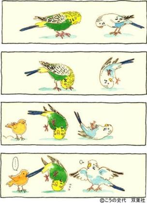 インコ、九官鳥飼ってる方