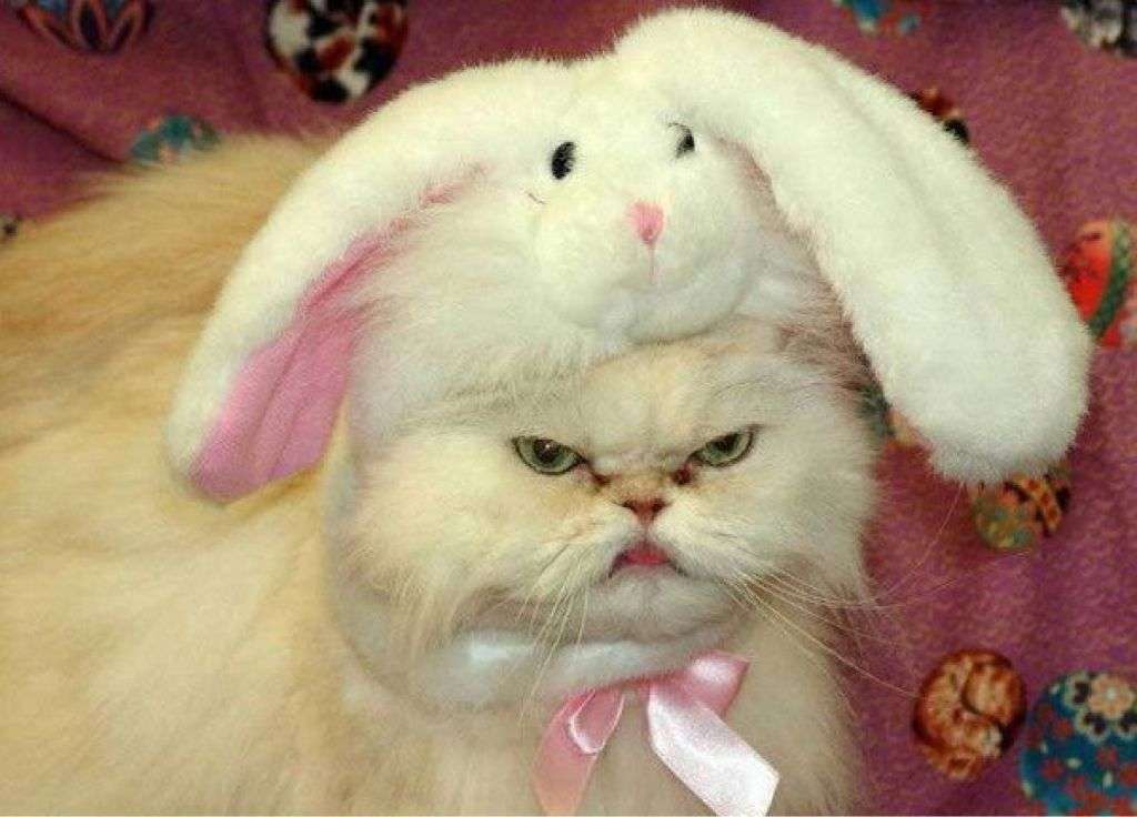 動物画像でオリジナルボケてを作ろう！