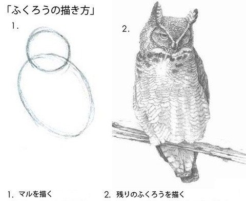 シュールな画像トピ
