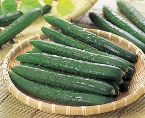 ホッと一息つくトピ