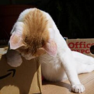ため息が聞こえてきそうな画像を貼るトピ