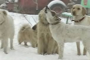 アラサーの懐かしいもの