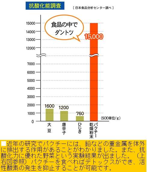 香菜（パクチー）を使った料理