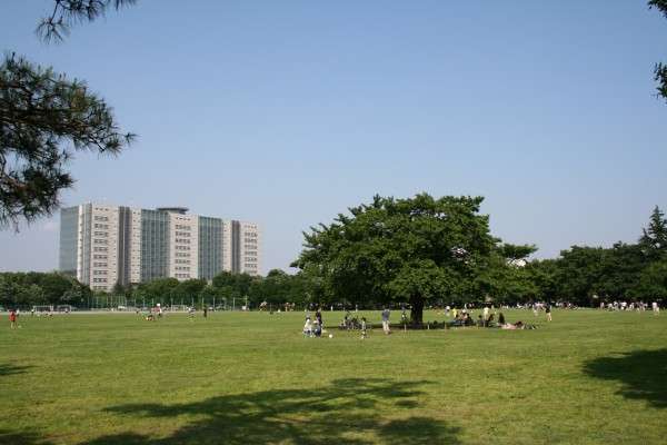 何だかんだ言ってもやっぱり東京が好きな人！