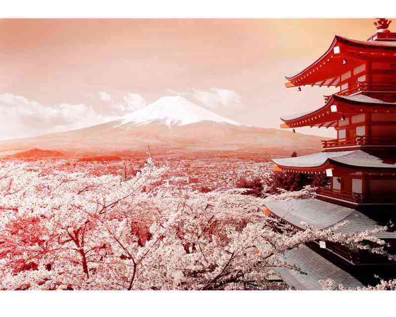 綺麗な景色の画像をください