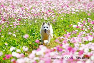 綺麗な景色の画像をください
