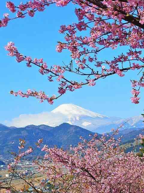 綺麗な景色の画像をください