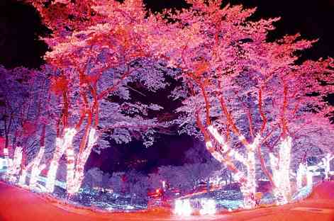 綺麗な景色の画像をください