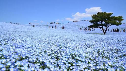 綺麗な景色の画像をください