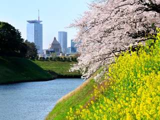 綺麗な景色の画像をください