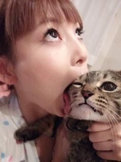 中川翔子、愛猫が死に「涙がとまらないよ」 あいたいよミルクバン先生