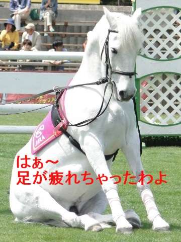 正真正銘の美脚の画像が集まるトピ