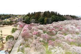 茨城県民集まれ part2