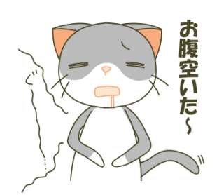 明日何食べますか？食べたいですか？