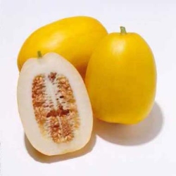 最近見かけないもの