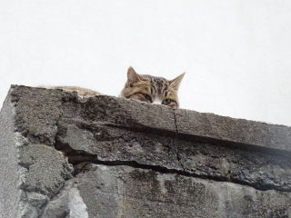 社内恋愛あるある