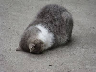 反省している画像