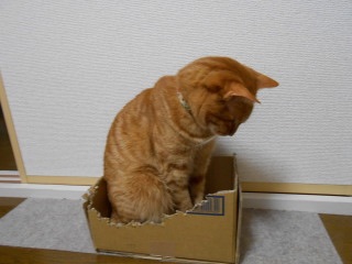 反省している画像