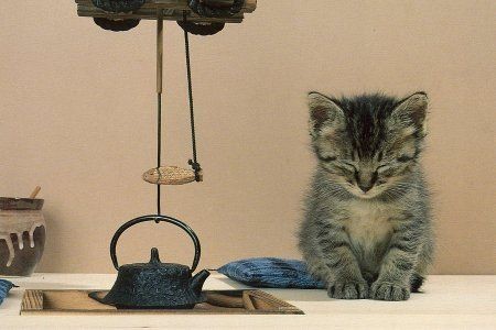 反省している画像