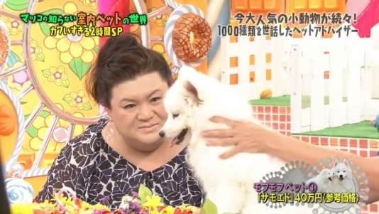 マツコ・デラックス、猫を飼えない理由語る 「まだ追い込まなきゃ自分を」