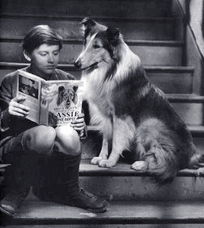 昔の方が良かったなぁ～と思うこと