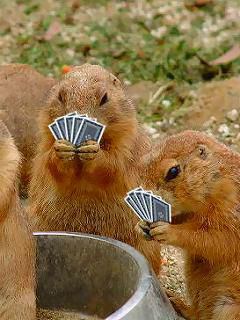 動物の画像にセリフをつけて遊ぶトピ