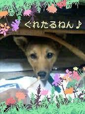 動物の画像にセリフをつけて遊ぶトピ