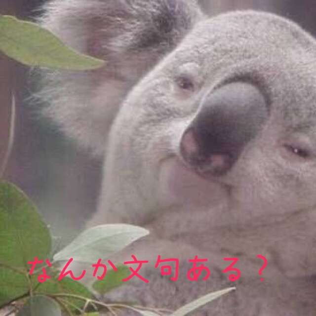 動物の画像にセリフをつけて遊ぶトピ