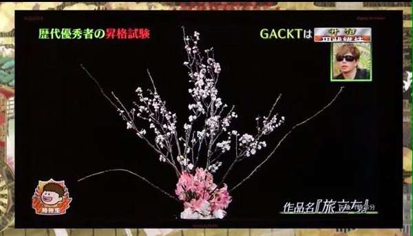 GACKTの「いけばな」を假屋崎省吾氏が大絶賛 スタジオも驚き