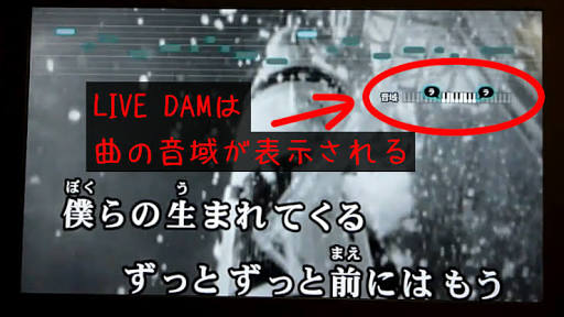 声が低い人のカラオケ