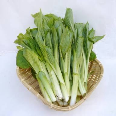 食べ方のよくわからない食べ物