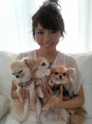 釈由美子　筆舌に尽くしがたい悲しみ　一番耐えられないことが起きた