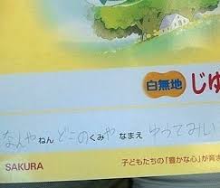 小学生女児の「薬物を誘われたときの断り方」に驚き ネットで拡散