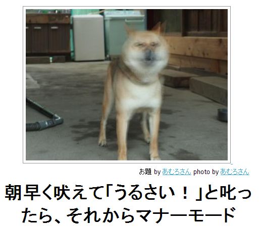 よく泣く我が子に悩む方いますか？