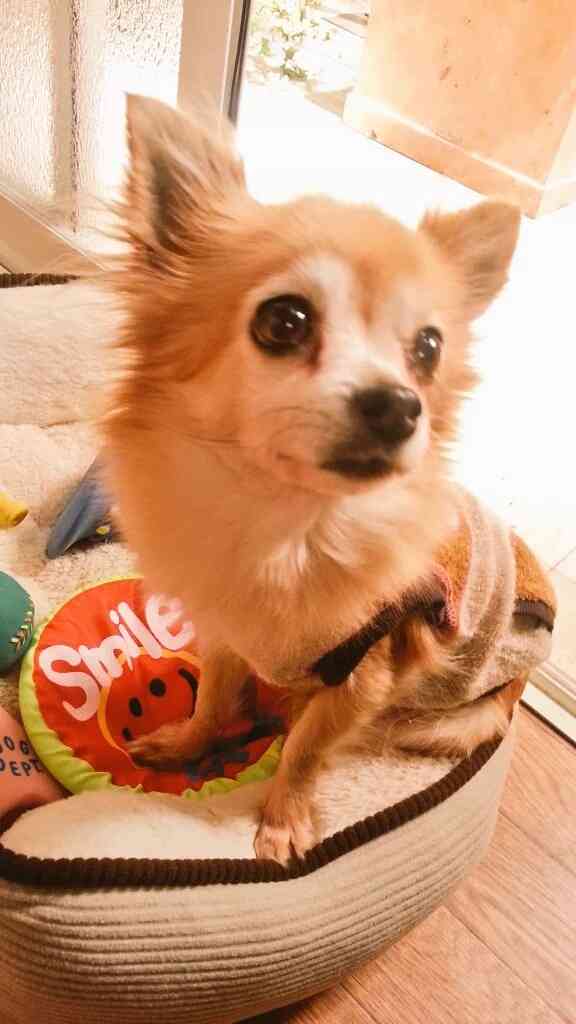 【実況!感想!】お義父さんと呼ばせて 第8話