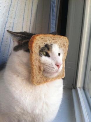 色んな理由で途方に暮れている人