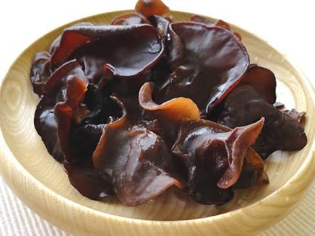 クラゲで癒やされよう