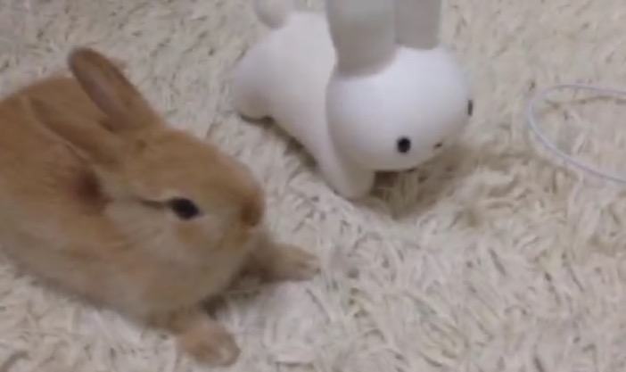 独り身でも幸せな人