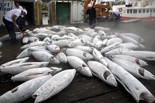 スーパーで買った肉や魚を冷凍解凍するときどうしてますか？