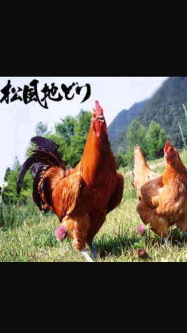 自撮りあるある