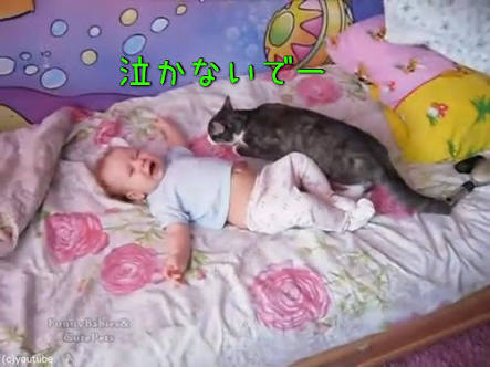 心洗われること